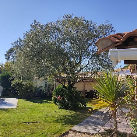 Maison Familiale En Bois Avec Piscine, Proche Du Bassin Gujan-Mestras Exterior photo